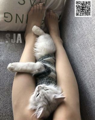制服丝袜日韩精品_高清手机在线看