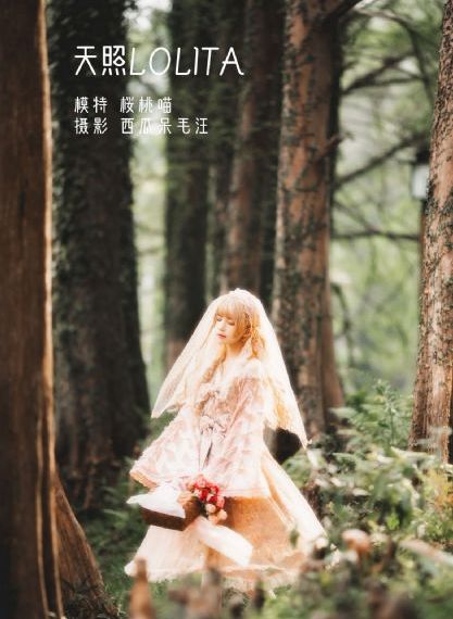 2012欧美动画电影_BD动漫免费观看