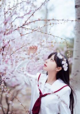 欧美a级胔屄在线大片_中文字幕在线观看